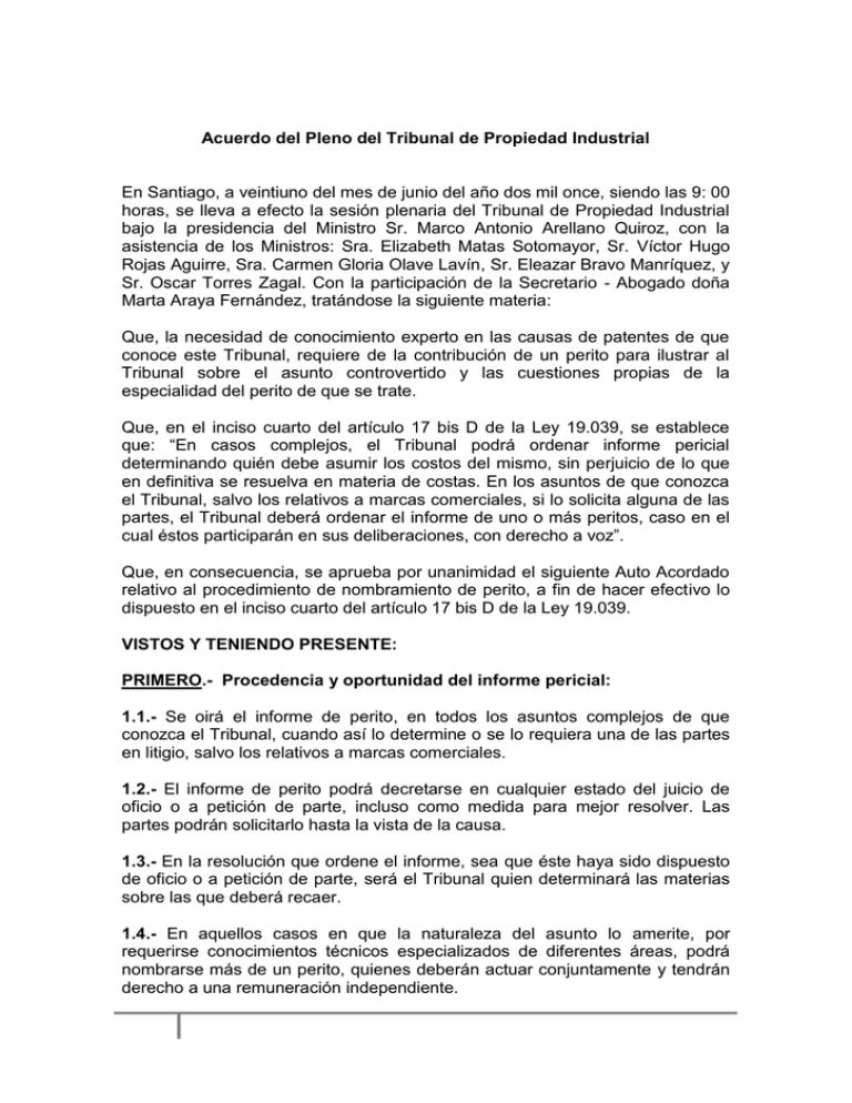 Auto Acordado Sobre Procedimiento De Nombramiento De Perito A