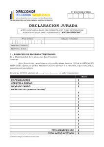 declaración jurada de activos - Municipalidad de la Ciudad de San