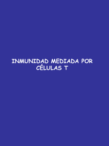 Inmunidad mediada por células T