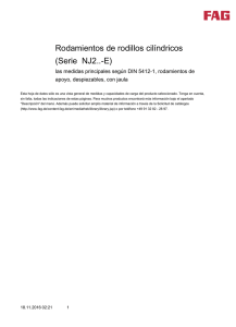 Rodamientos de rodillos cilíndricos (Serie NJ2..-E)