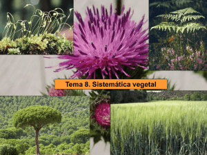 Tema 8. Sistemática vegetal