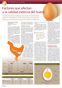 Factores que afectan a la calidad externa del huevo