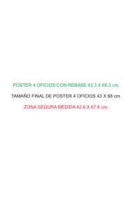 POSTER 4 OFICIOS CON REBASE 43.3 X 68.3 cm. TAMAÑO FINAL