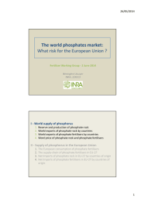 The world phosphates market: What risk for the European Union ?