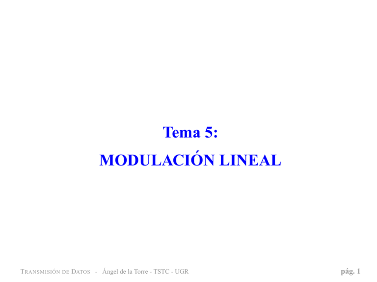 Tema 5: MODULACI´ON LINEAL