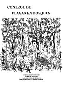 control de plagas en bosques