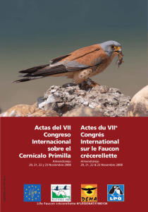 Actes du VIIe Congrés International sur le Faucon