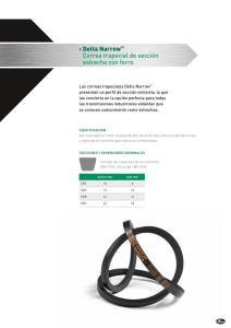 Delta Narrow&trade; Correa trapecial de secci&oacute;n estrecha con forro