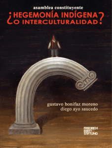Asamblea constituyente : hegemonía indígena o interculturalidad?