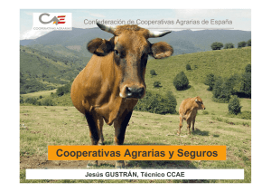 Cooperativas Agrarias y Seguros - Cooperativas Agro