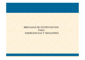 BRIGADAS DE INTERVENCION PARA EMERGENCIAS Y