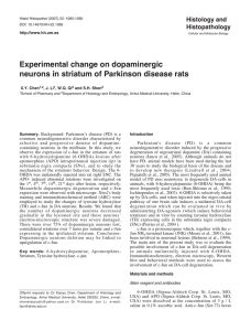 Experimental change on dopaminergic neurons in striatum of
