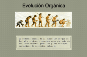 Evolución Orgánica