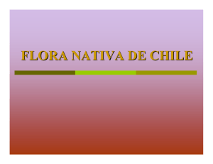 flora nativa de chile