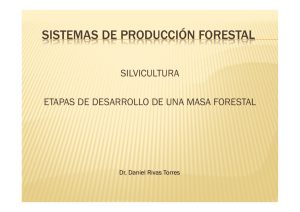 SISTEMAS DE PRODUCCIÓN FORESTAL