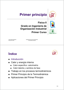 Primer principio - Universidad de Sevilla