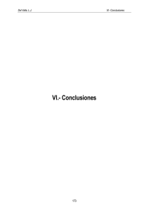 VI.- Conclusiones