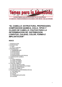 Estructura, Propiedades y Tipos de Cabello: Gu&iacute;a para Peluqueros