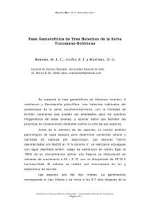 Fase Gametofítica de Tres Helechos de la Selva Tucumano