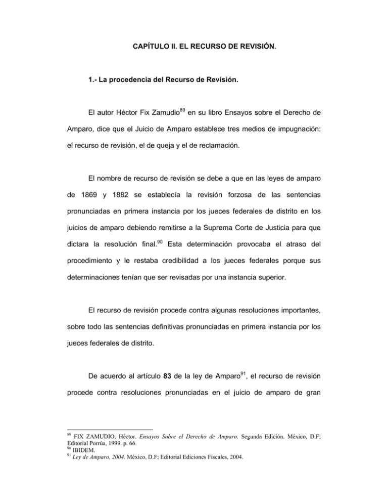 CAPÍTULO II. EL RECURSO DE REVISIÓN. 1.