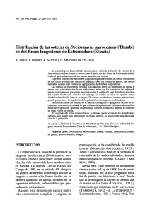 Distribución de las ootecas de Dociostaurus maroccanus (Thunb