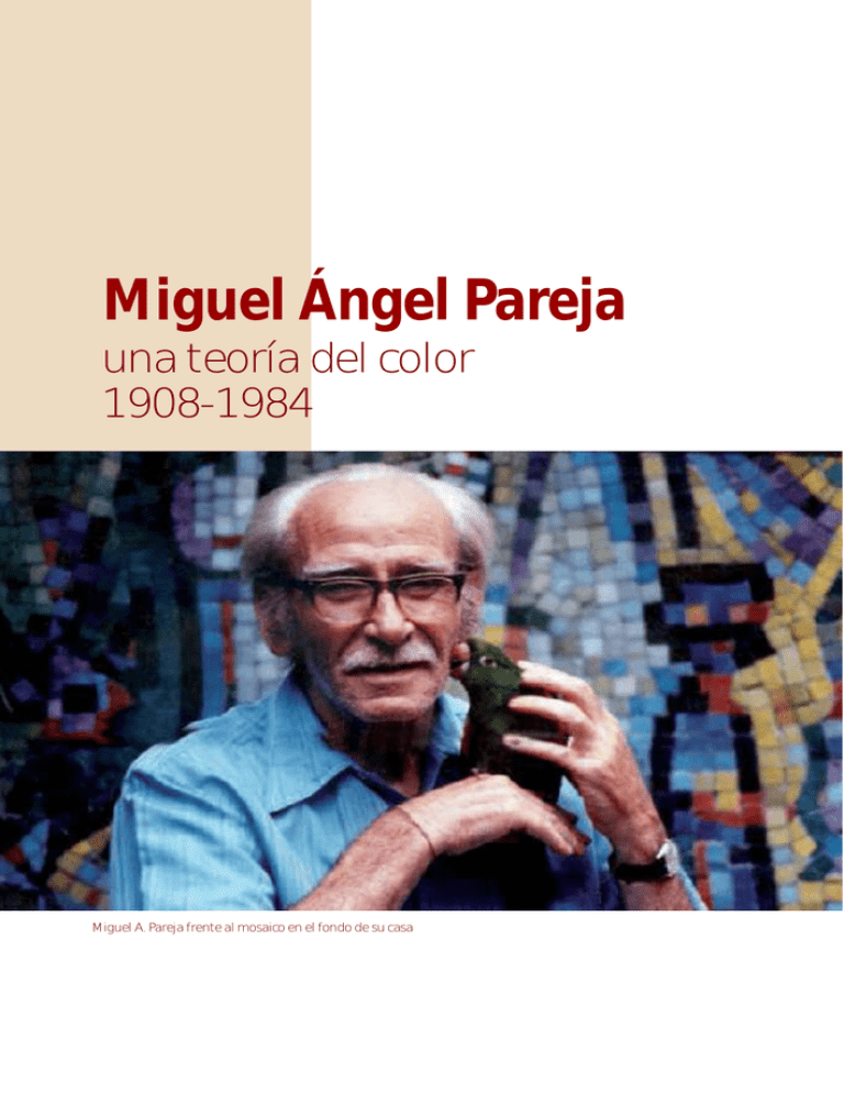 anexo-miguel-angel-pareja-una-teor-a-del-color