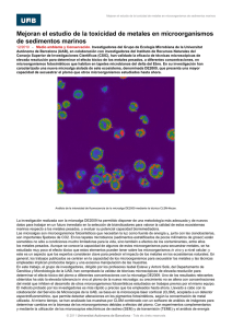 Mejoran el estudio de la toxicidad de metales en microorganismos