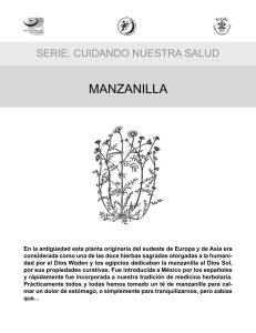 manzanilla