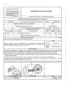 Page 1 GOBIERNO DE EL SALVADOR DREccióN DE ADoUIslclor