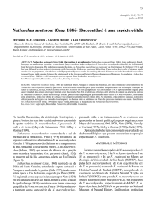 Publicação sobre Sistemática do gênero Notharchus