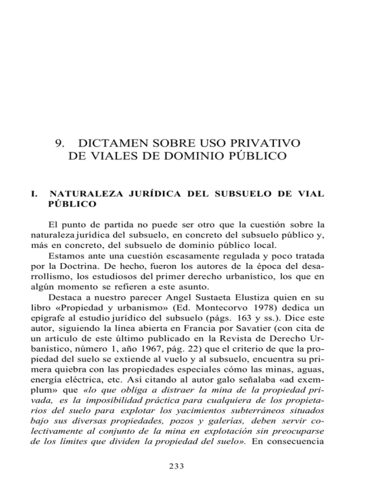 9. Dictamen Sobre Uso Privativo De Viales De Dominio Público