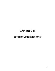 CAPITULO III Estudio Organizacional