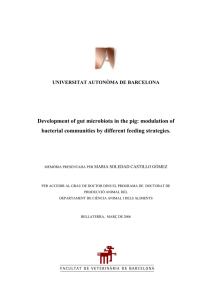 Development of gut microbiota in the pig: modulation