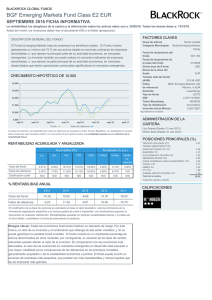 Factsheet BGF Emerging Markets Fund Class E2 EUR