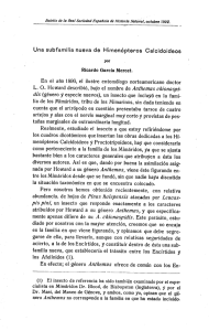 Una subfamilia nueva de Himenópteros Calcidoideos