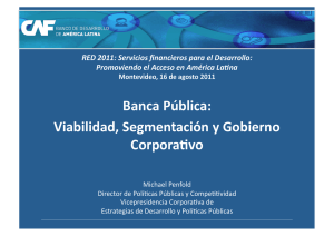 Banca Pública: Viabilidad, Segmentación y Gobierno Corpora
