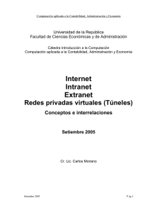 Internet, intranet, extranet, redes privadas virtuales