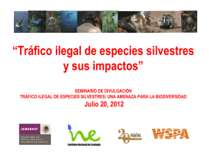 Tráfico ilegal de especies silvestres y sus impactos