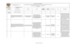 Avance 2 Plan Mejora Audit Amb 2013 (enero2015)