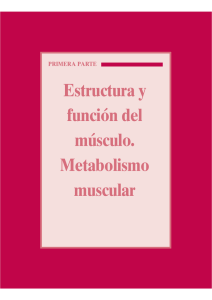 Estructura y función del músculo. Metabolismo muscular