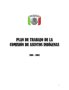 plan de trabajo de la comisión de asuntos indígenas