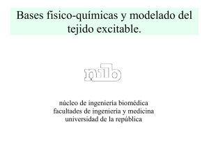 Diapositivas Parte 1 - Núcleo de Ingeniería Biomédica