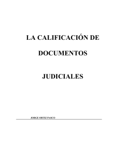 LA CALIFICACIÓN DE DOCUMENTOS JUDICIALES