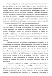 Durante la digestión, los ácidos grasos son absorbidos por el