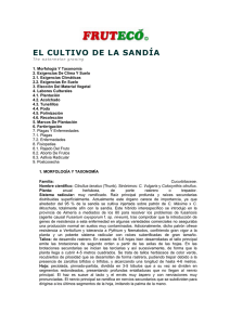 el cultivo de la sanda - Fruteco - Comercialización y distribución de