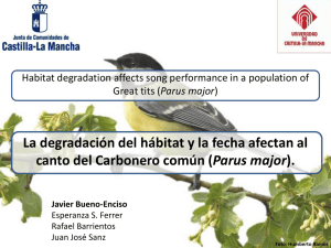 Habitat degradation affects song performance in a population of