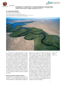 EL MANGLE ROJO del Pacífico Norte de México (PDF