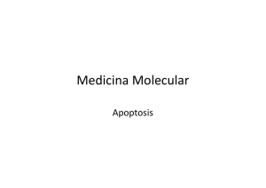 Medicina Molecular