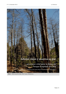 Árboles viejos y muertos en pie: un recurso vital para la fauna del