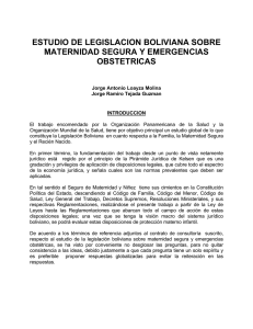 estudio de legislacion boliviana sobre maternidad segura y